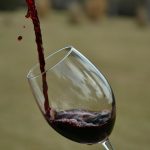 Copa de vino en Bodega Salto Chico