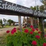 Establecimiento la oportunidad en Cardal Florida campo uruguayo