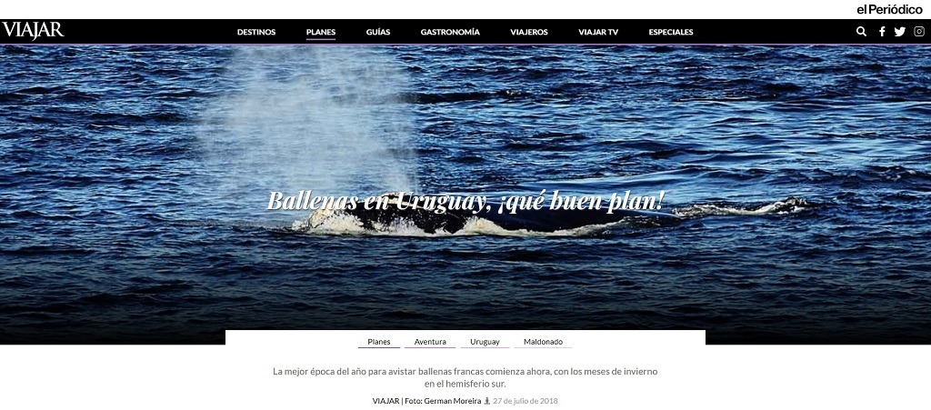 Portada El Periódico ballenas en Uruguay