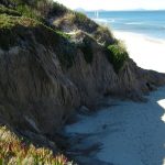 Barrancos de arena cubiertos de vegetación sobre la playa