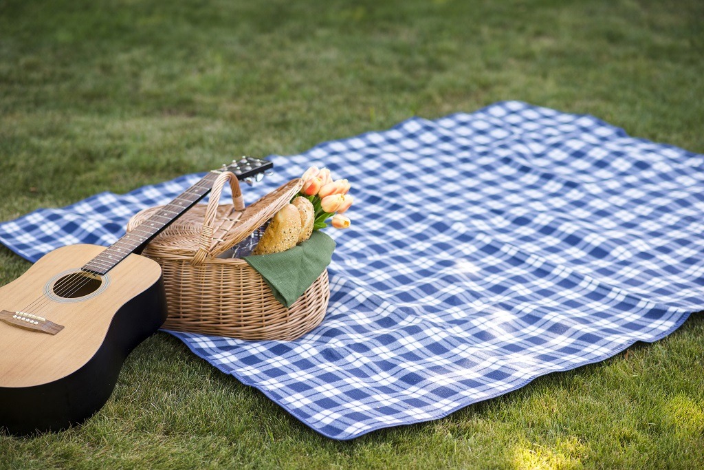 Un ukelele posado sobre una canasta con panes, arriba de un mantel a cuadros blanco y azul, tendido sobre el césped